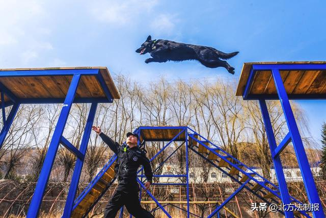 来源：彩练新闻