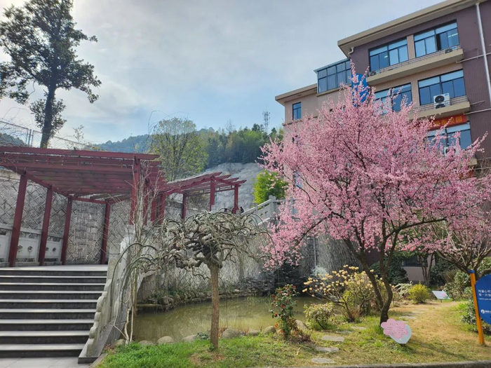 作者姓名：朱映莲