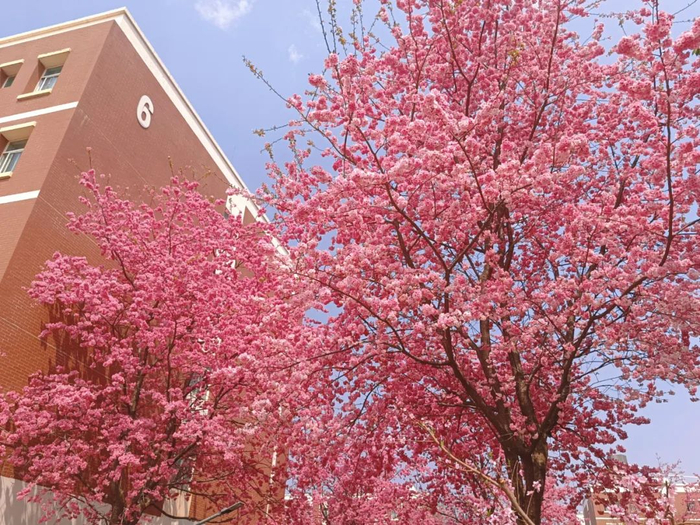 作者姓名：赵婧