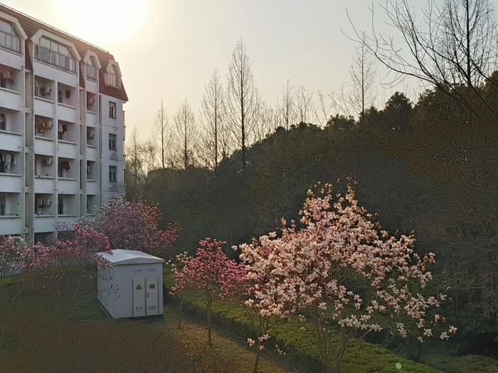 作者姓名：郭博文