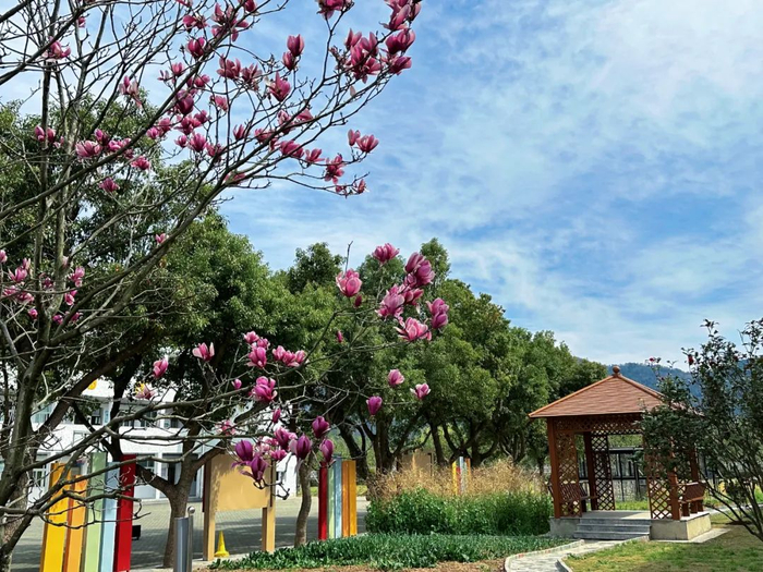 作者姓名：王万红  教师