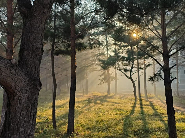 作者姓名：任普聪