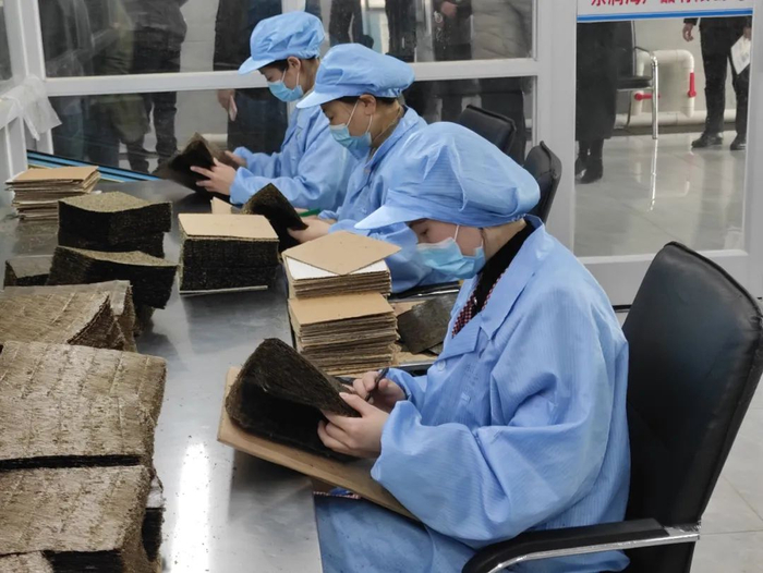 江苏省连云港市赣榆区紫菜产业园里，工人正在挑选干紫菜。