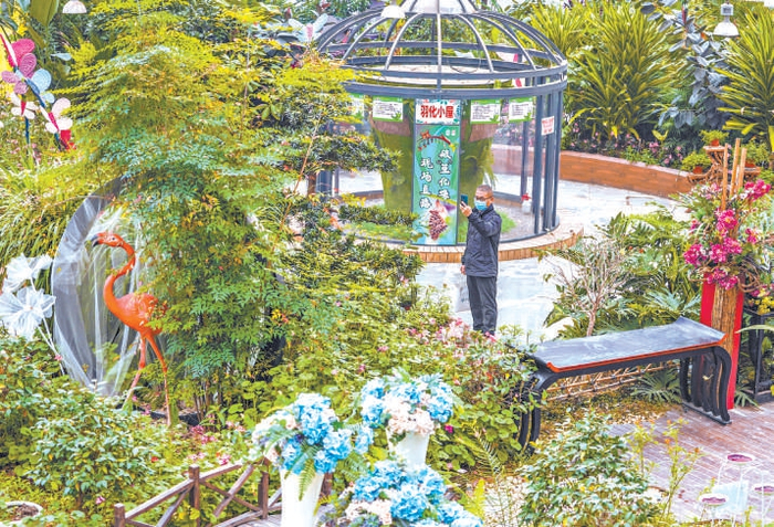 顺义今夏文旅活动上新趣味浓|国际鲜花港|奥林匹克水上公园|顺义_新浪新闻