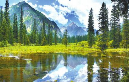 白马王朗美景。