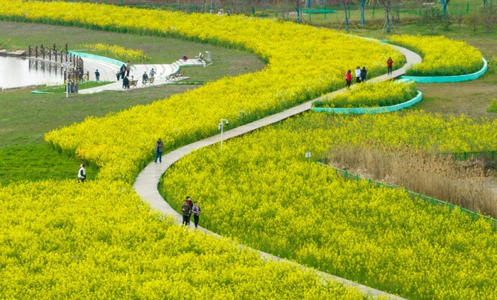 苏报拍客 计海新/摄