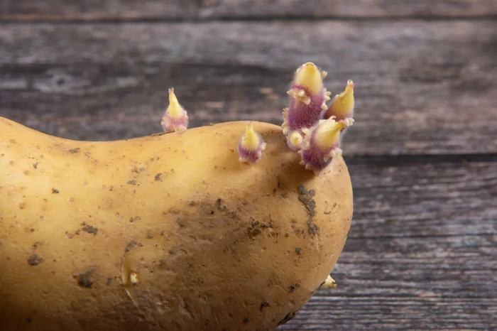 图库版权图片，不授权转载