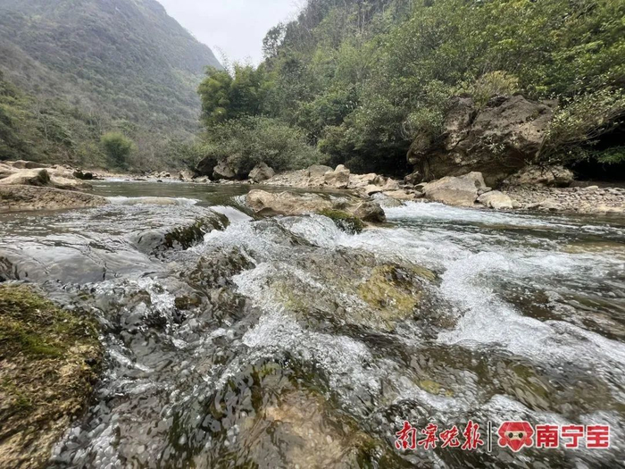 环江木论喀斯特生态旅游景区溪水清澈