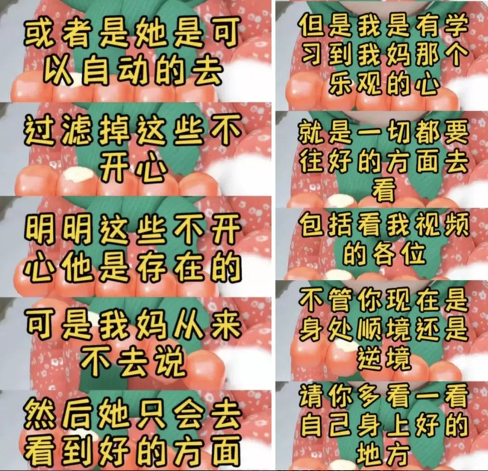 〓 原博主自述 | 图源：b站
