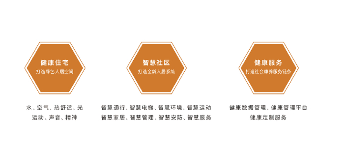 图：星联“H-LIVES健康+”生活价值体系