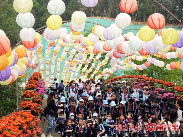 广西高峰森林公园学生研学游