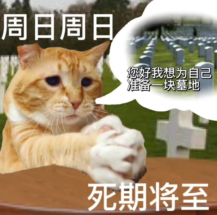 周一周一 我的头七_新浪新闻