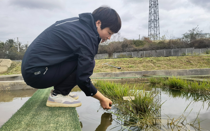 搜集野生稻的科学家程云连。新京报记者 周怀宗 摄