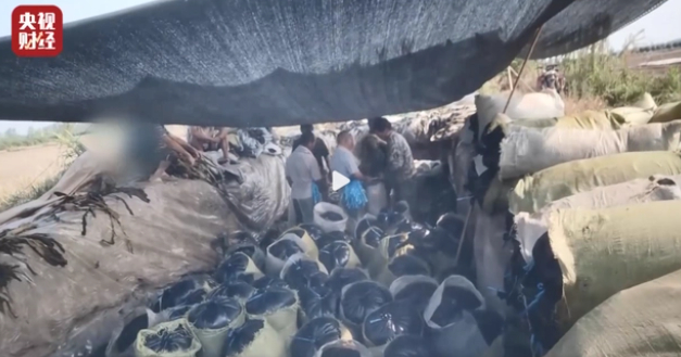 此前违规制酸菜企业被曝光，也给酸菜鱼爱好者带来了一定心理阴影