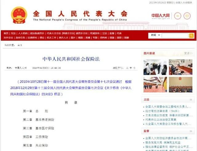 中国人大网截图 