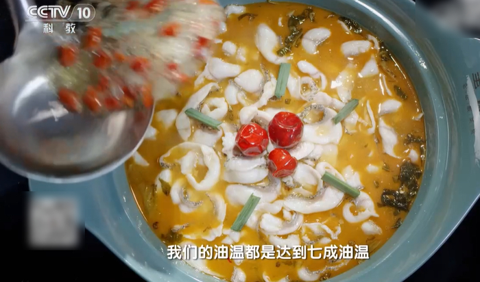 图源：央视网《探索发现》