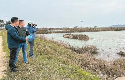 湿地公园内即将动工修复的鱼塘。黄 越摄