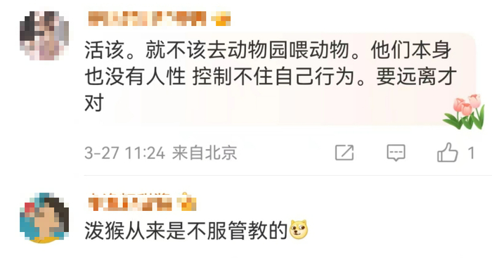 女子投喂猴子反被掌掴景区回应