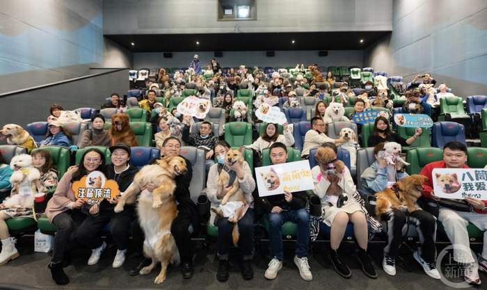 ▲《忠犬八公》重庆携宠观影会现场，来了很多宠物犬。图片来源：主办方供图