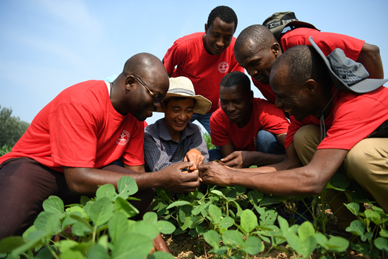     萨图宁等中非科技小院留学生与当地村民一起交流作物种植技术。受访者供图
