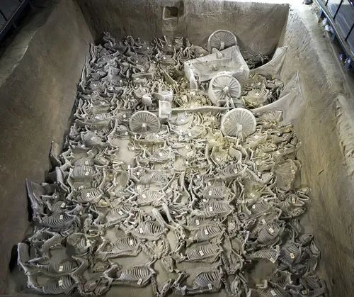 河南新郑郑韩故城遗址郑国三号车马坑全景（资料照片）。新华社发（中国文物报社提供）