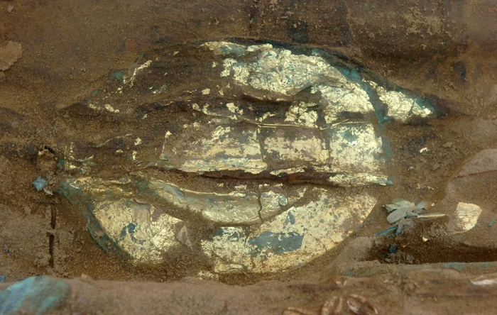 河南上蔡千年楚墓出土一批青铜重器。新华社记者朱祥摄