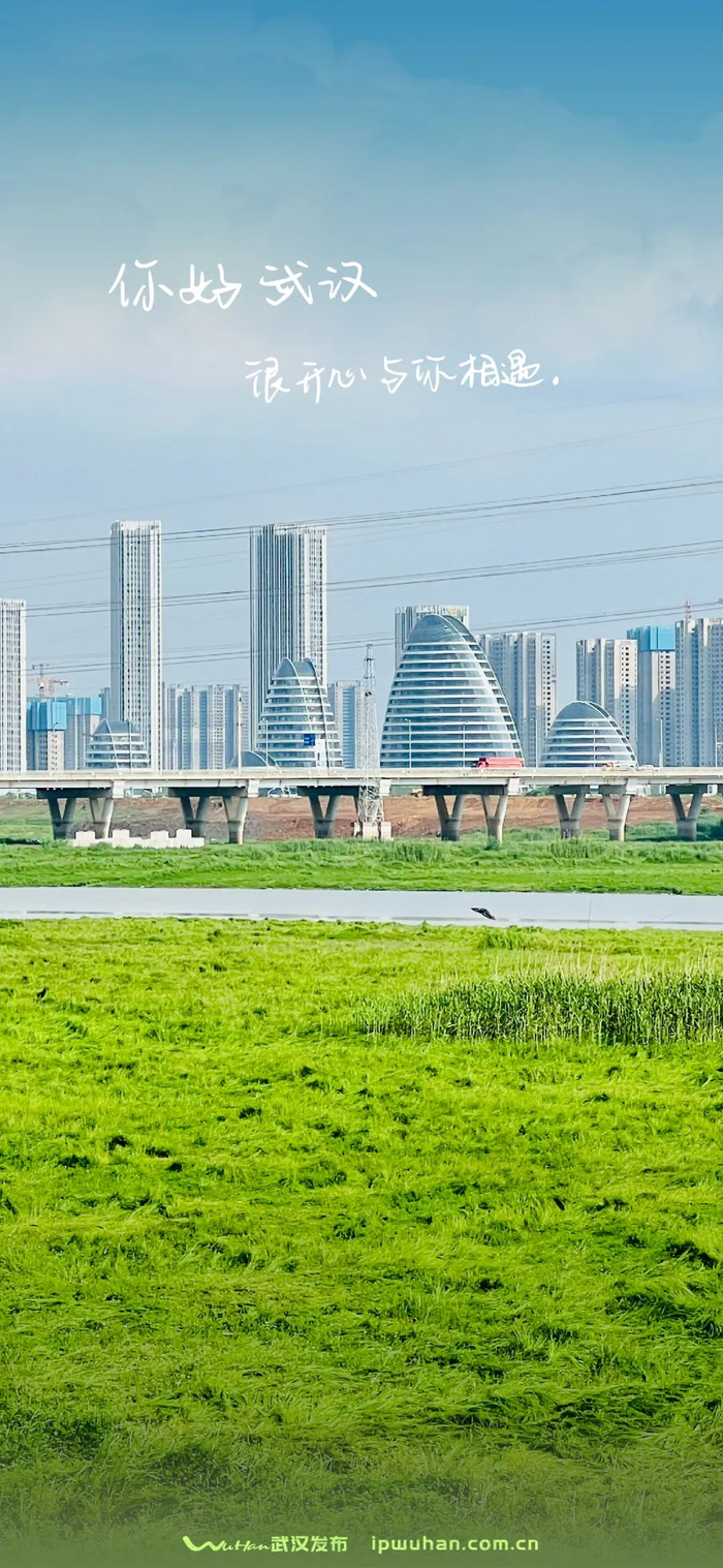 青青草甸上长“春笋”。城市摄影队舒航 摄于军山新城