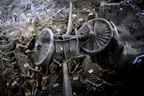 这是河南新郑郑国3号车马坑考古现场（11月13日摄）。新华社记者朱祥摄