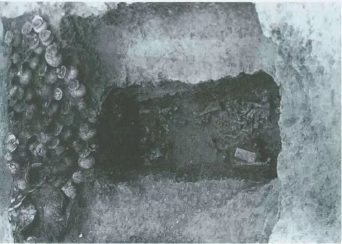 肖家屋脊M7出土器物照。（图源：湖北省文物考古研究所）