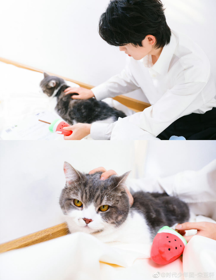 宋亚轩rua猫九宫格随拍 白衬衫造型的小宋同学