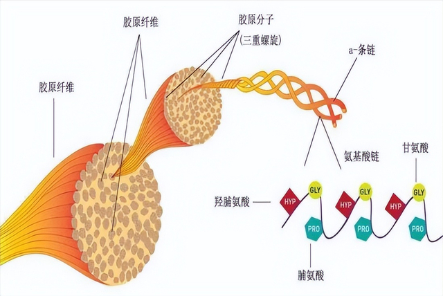一定要让皮肤睡觉,《Nature》揭秘:日晒、熬夜让皮肤变老的真相