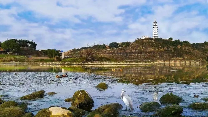 大足龙水湖 图：大足国际