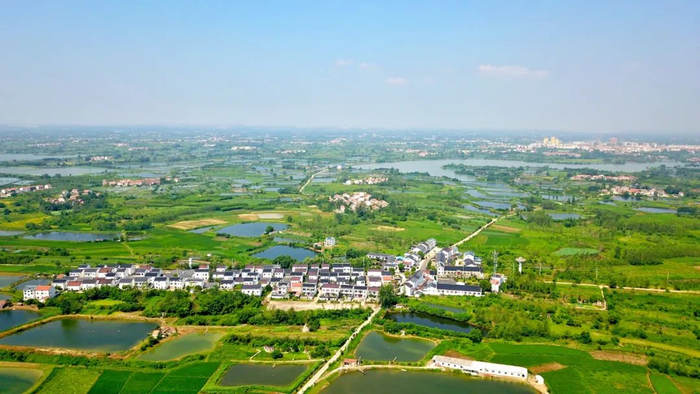 陶咀村航拍图。沈雷平 摄