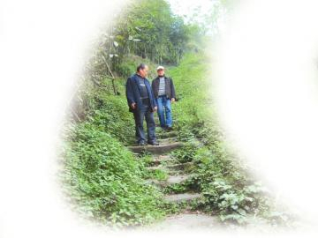 荒草中的大石梯古道。