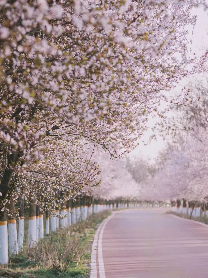 三河一山-永安驿附近绿道