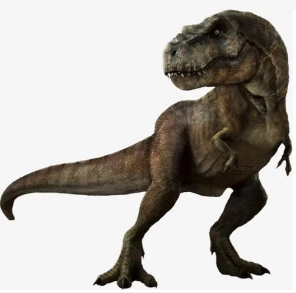 资料图。图源：新华社