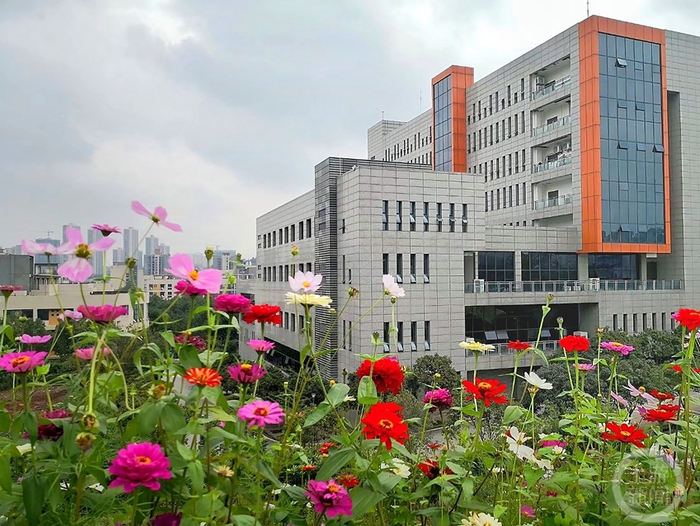 《春满校园》组照二 周文武 摄