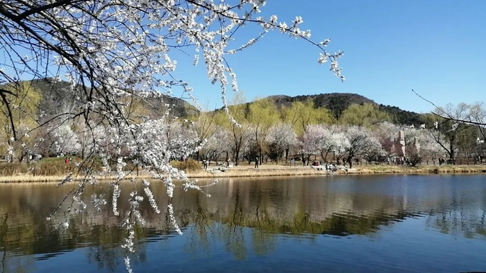 ▲图源：卡乐图片。摄影/宁颖