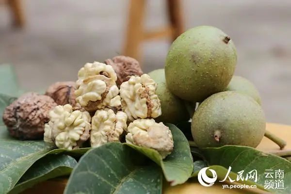 漾濞大泡核桃 李发兴 摄