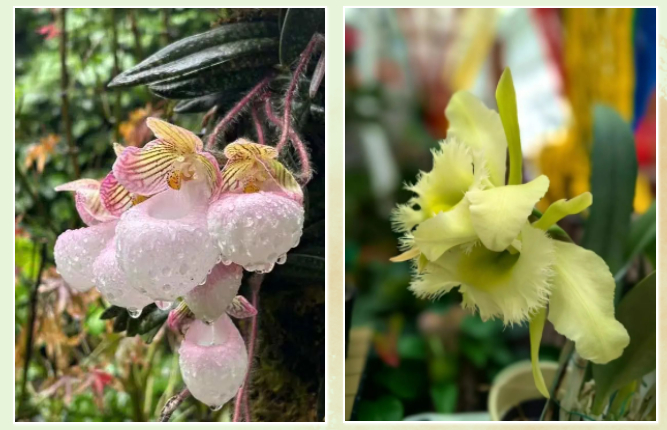 新快报记者 王彤