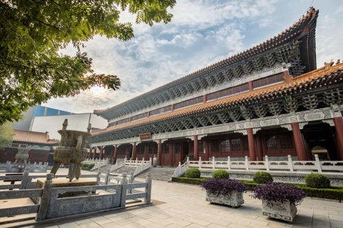 ▌古井酒文化博览园（图片来源：安徽省文化和旅游厅）