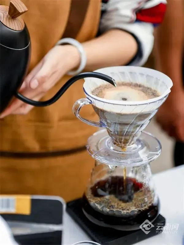 冲泡咖啡 云南省农业农村厅 供图