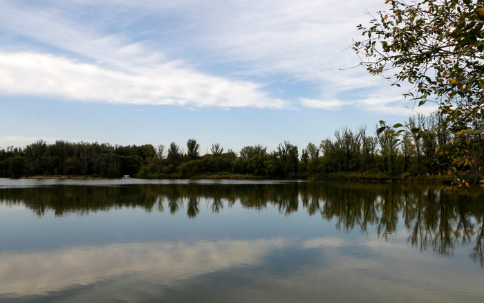 翠湖国家城市湿地公园。