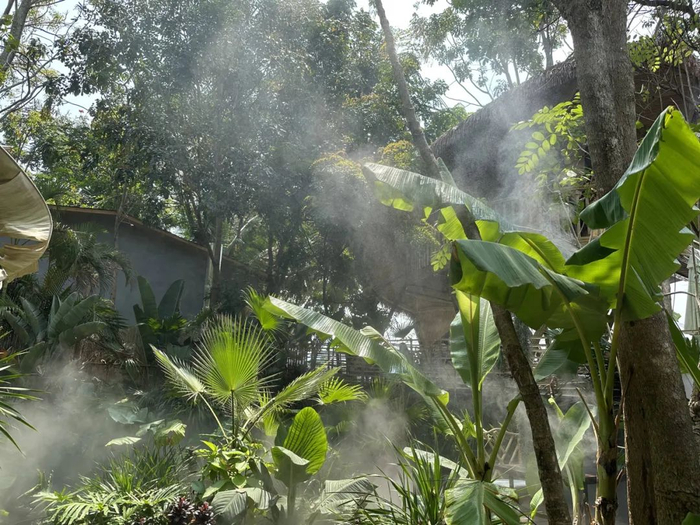 △ 西双版纳生态资源 图源：受访者供图