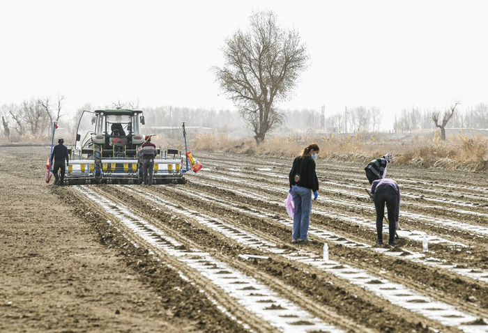 新华全媒  | 中国棉花主产区拉开春播序幕__财经头条