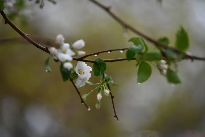 （记者 李靖 摄）
