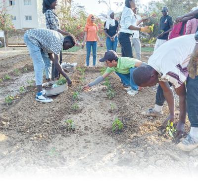 达喀尔大学校园里，塞内加尔学生跟着中国老师学习移栽辣椒苗。中国援塞内加尔农技专家组供图