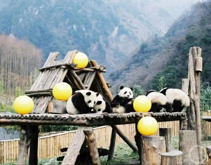 ▲商家宣传图片