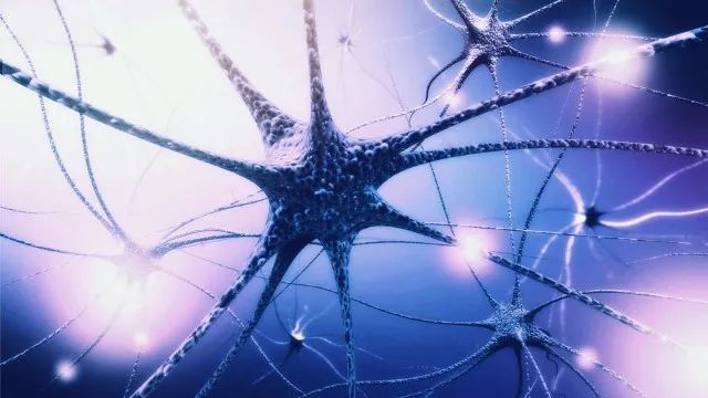 图片来源：123RF