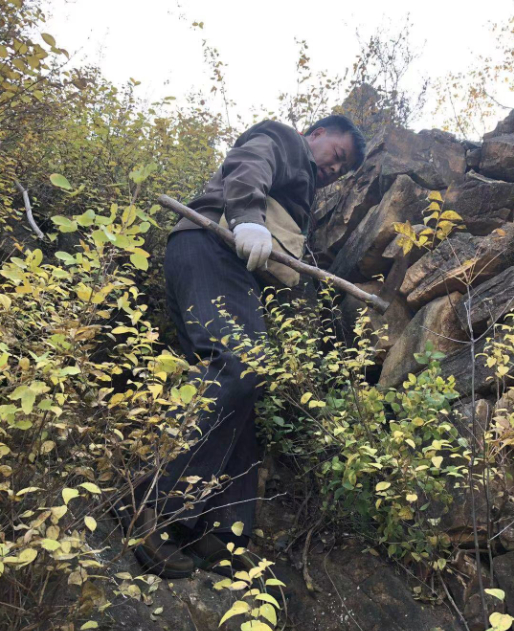 韩建光在黄松峪东坝头长城进行巡察与保护。受访者供图